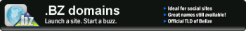 .BZ Domains